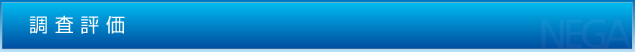 調査評価